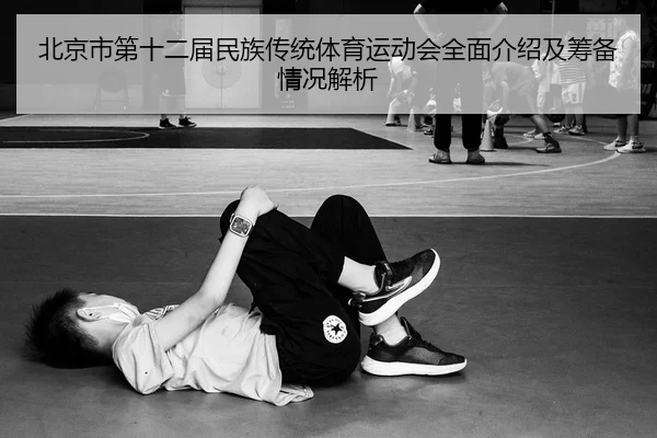 北京市第十二届民族传统体育运动会全面介绍及筹备情况解析